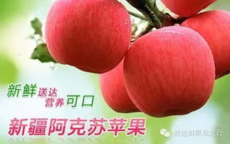 微送水果工廠店12家門店同慶盛典 每日供應(yīng)依舊秒光，水果為何至此搶購(gòu)大戰(zhàn)？