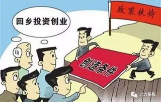 辭職赴和林農(nóng)村 信息咨詢服務(wù)的新起點